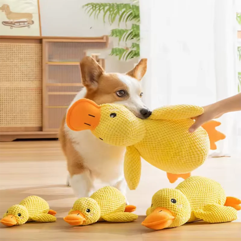 QuackPaws Adventure