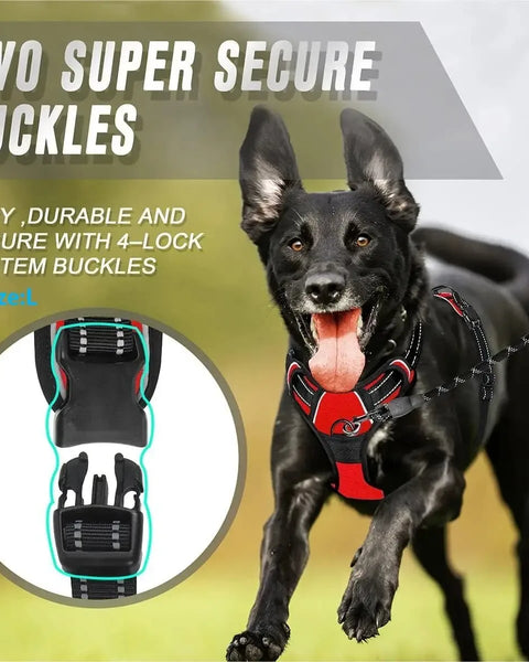 SafeTrail Harness