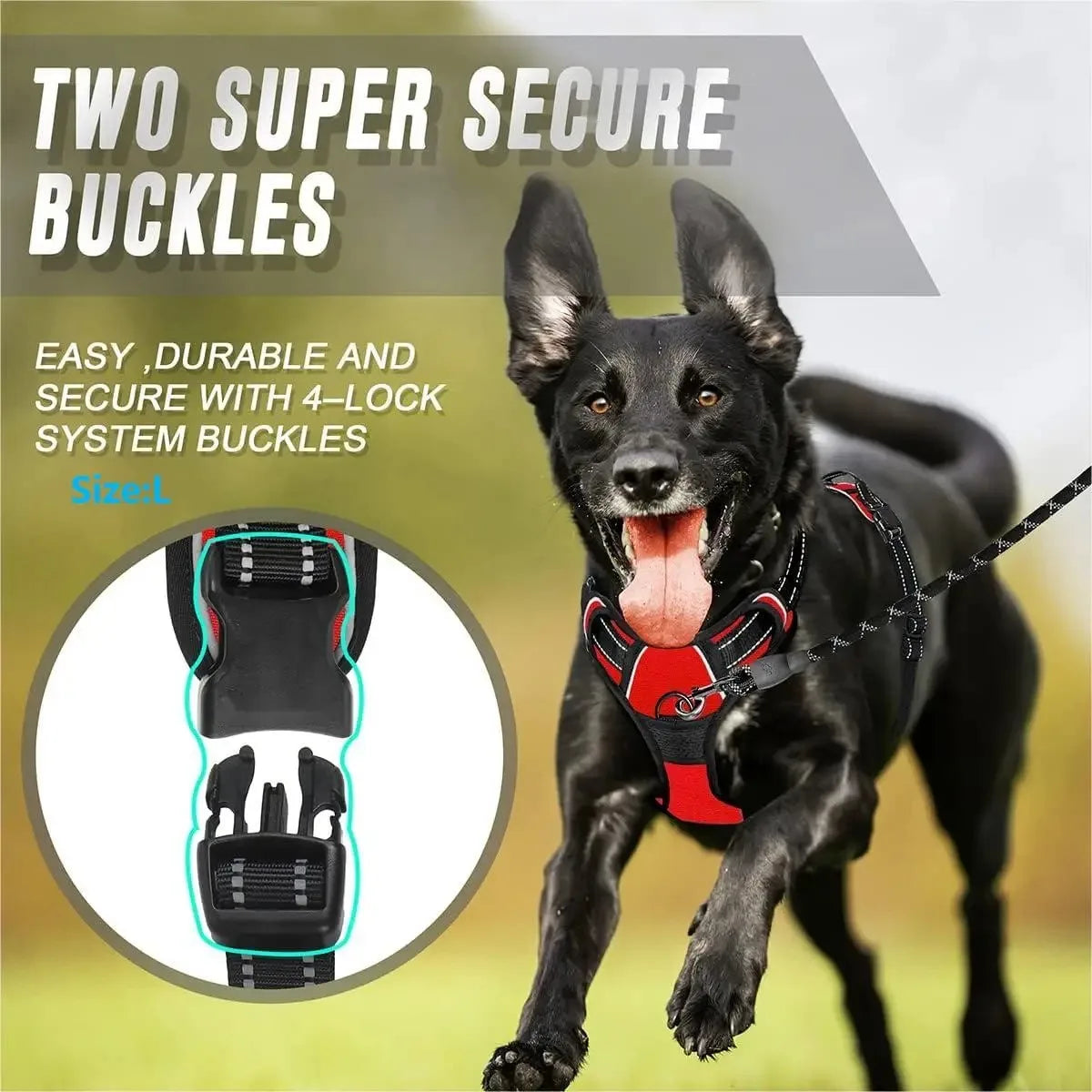 SafeTrail Harness