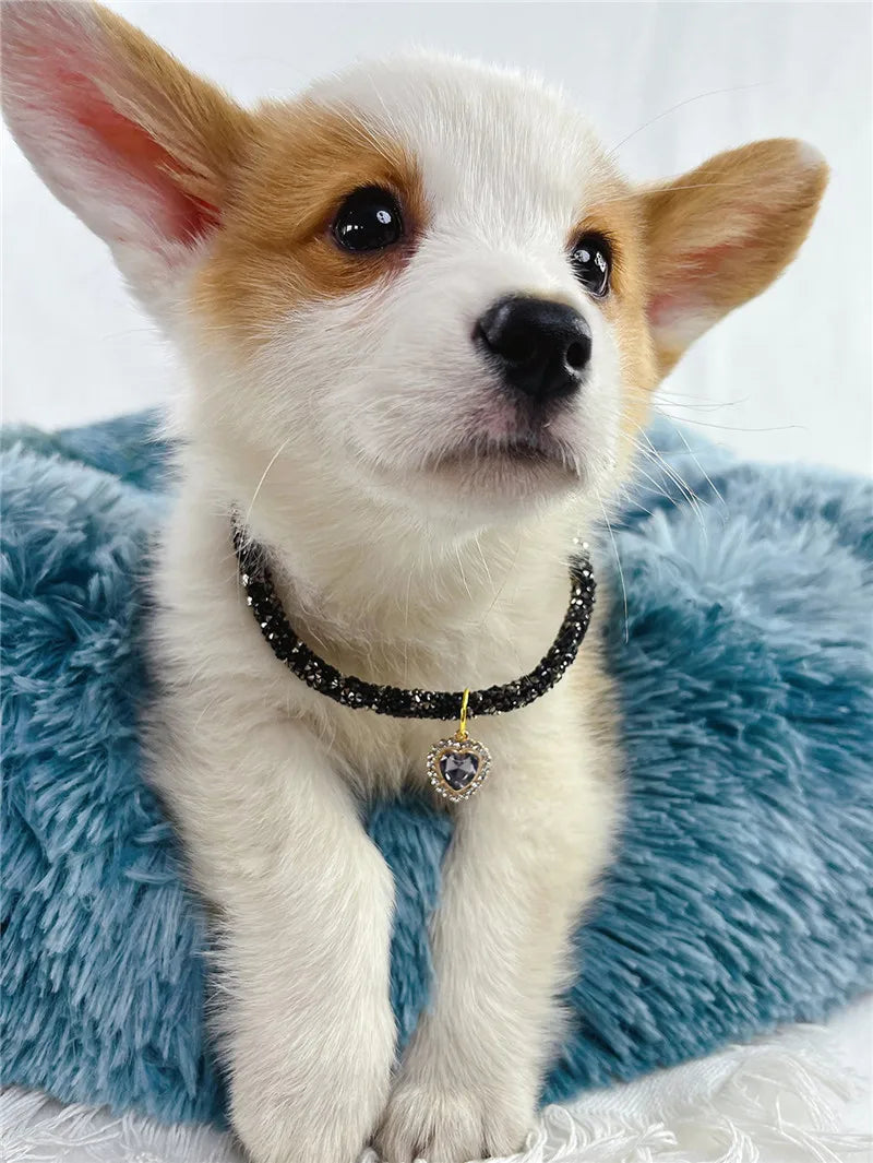 Aurora Heart Collar