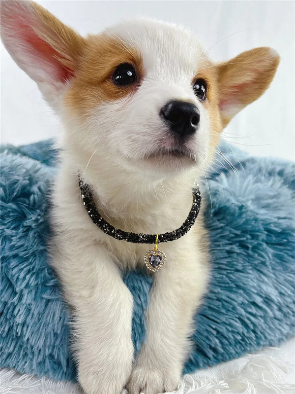 Aurora Heart Collar