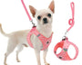pink blue green vest style dog harness and leash set small and medium dogs cute adjustable pet harness