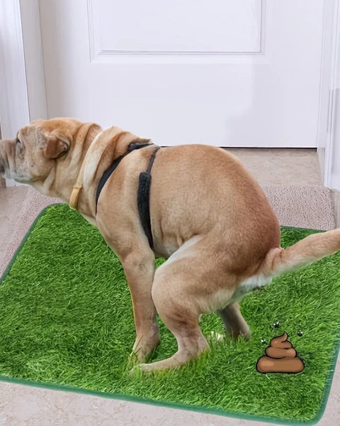 Artificial grass dog potty training mat for dogs that provides indoor toilet training support and odor control for cleaner home use.