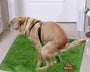 Artificial grass dog potty training mat for dogs that provides indoor toilet training support and odor control for cleaner home use.