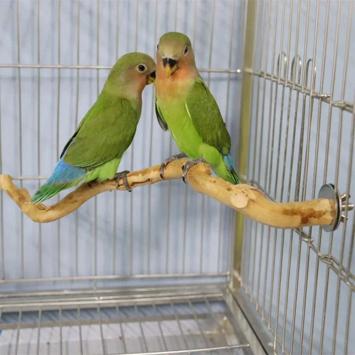 nestwood-vine-perch