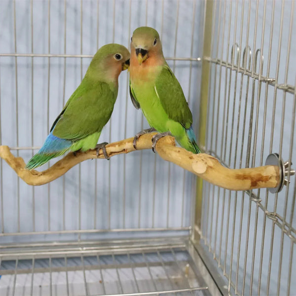 nestwood-vine-perch