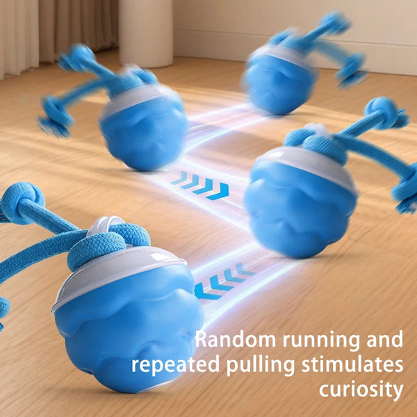 Rovix MotionRope - Upgraded Version