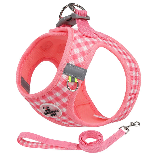 Dog Harness and Leash Set