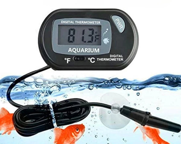 Thermaqua Digital Aquarium