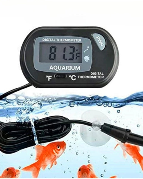 Thermaqua Digital Aquarium