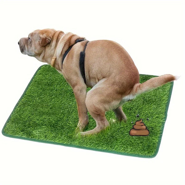 GreenSpot Trainer Mat Reusable, Odor-Control