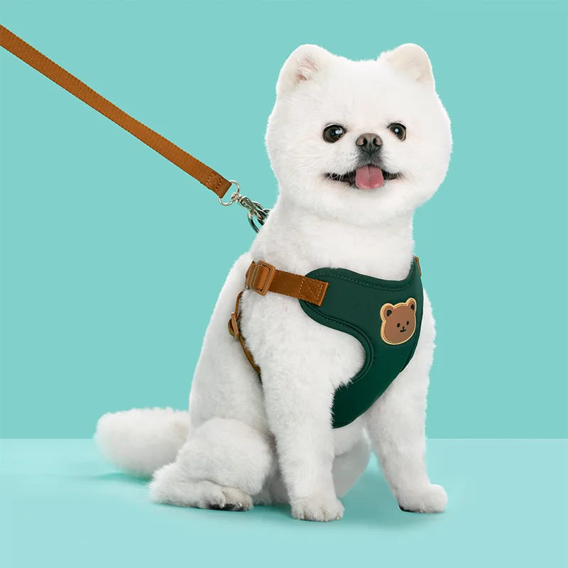 Cute Dog Harness and Leash Set