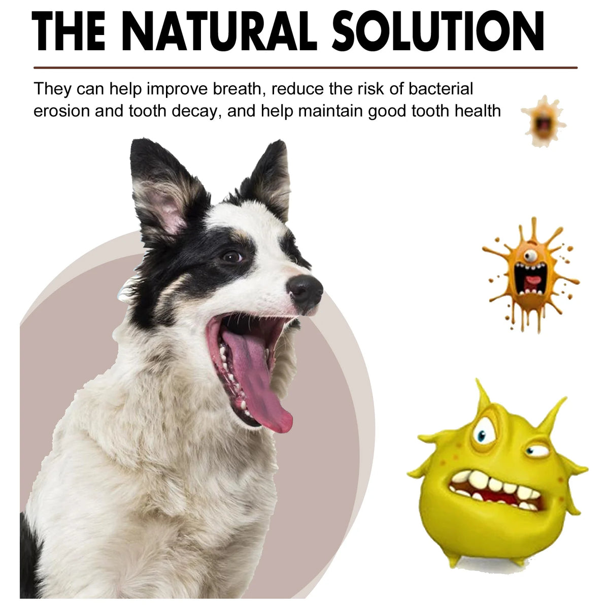 FreshPaws Dental Spray – No More Odor