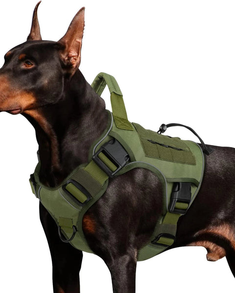 Dog Harness with Handle