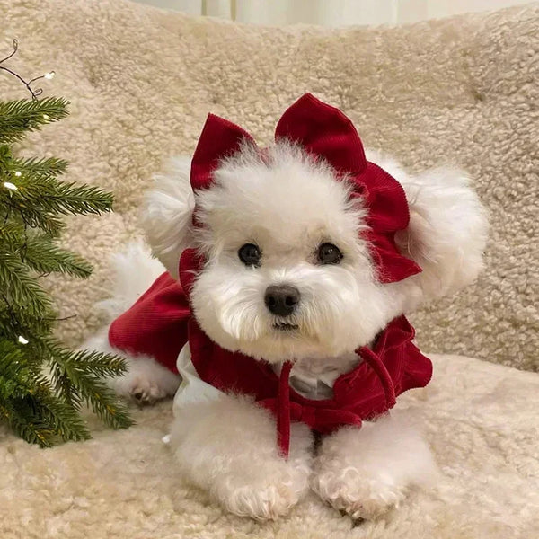 Winter Princess Dog Dress