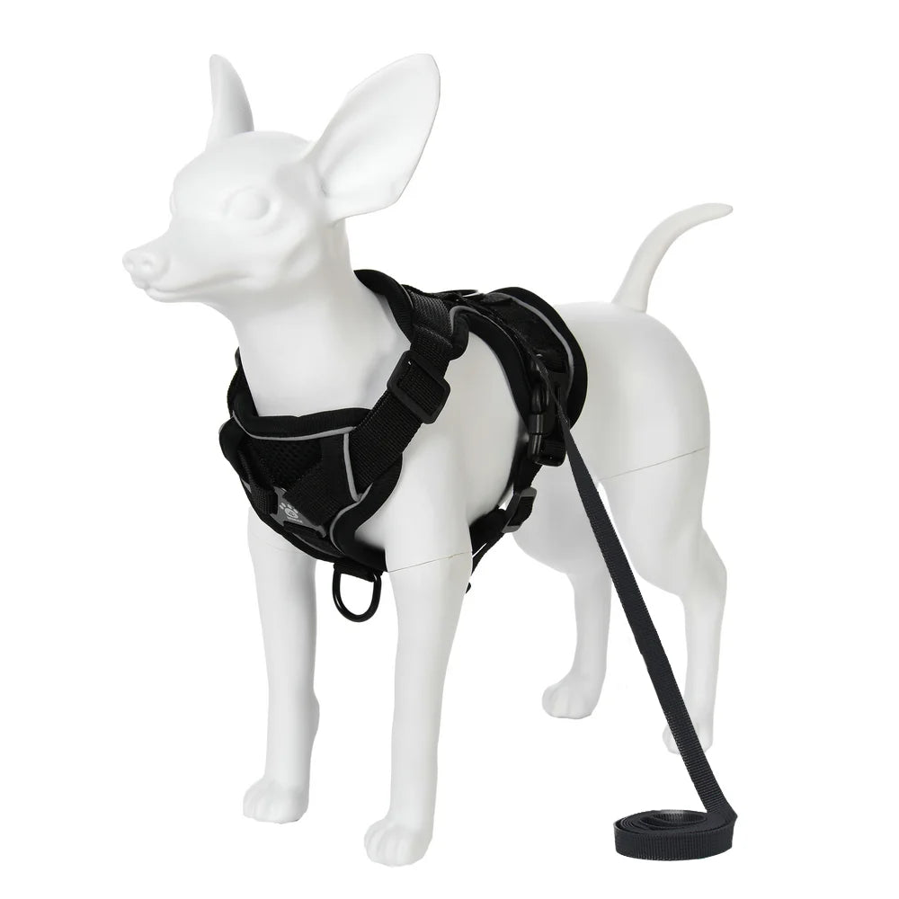 Dog Harness and Leash Set