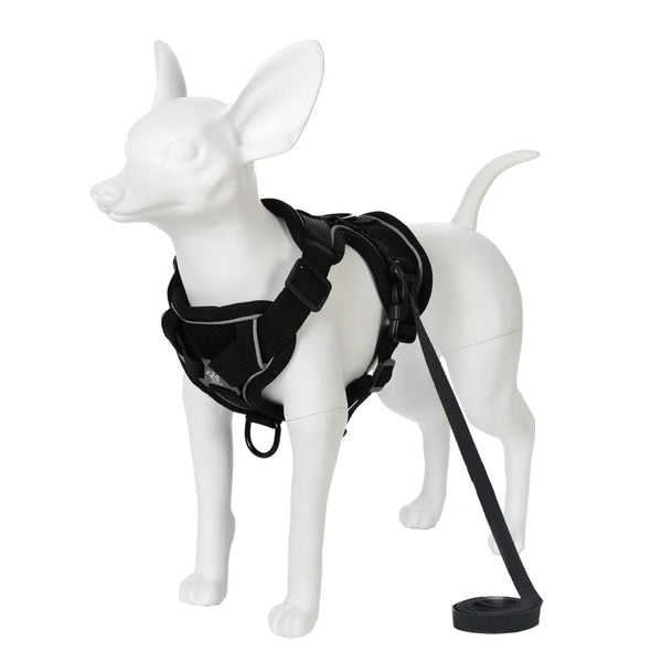 Dog Harness and Leash Set