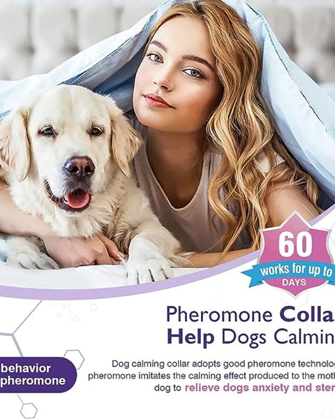 LumeCalm Collar