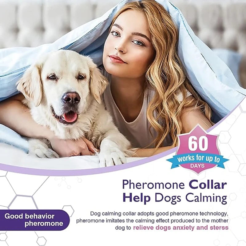 LumeCalm Collar