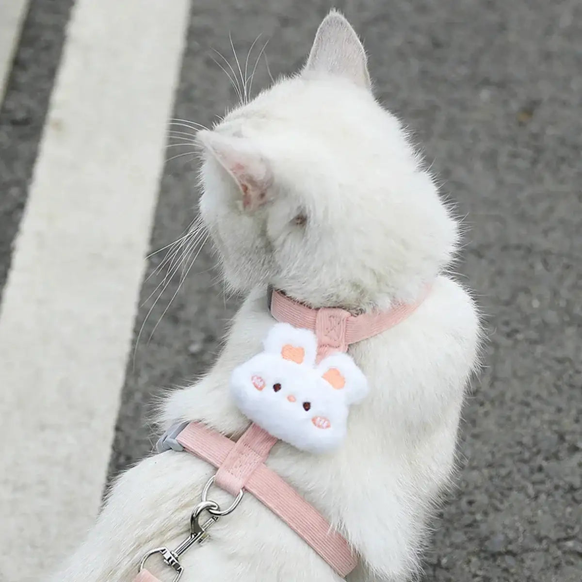 WhiskerStride