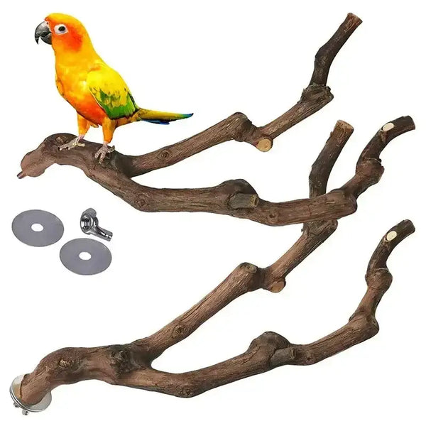 Beakwood Grape Branch