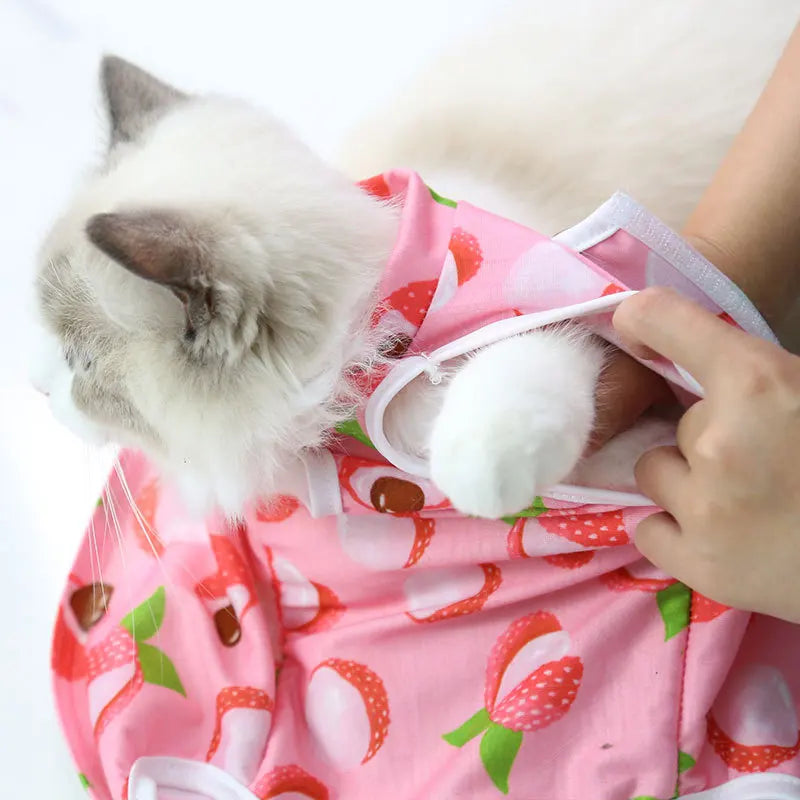 PetRecovery Anti-Licking Suit
