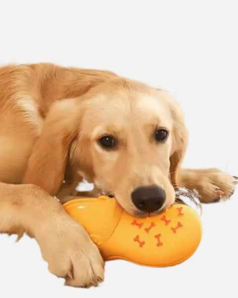 ChewliStep Dog Toy