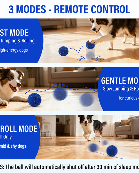 TurboPlay Smart Dog