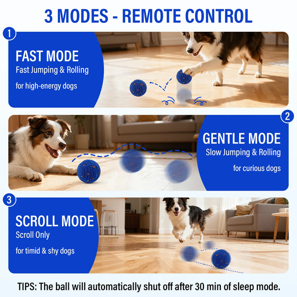 TurboPlay Smart Dog