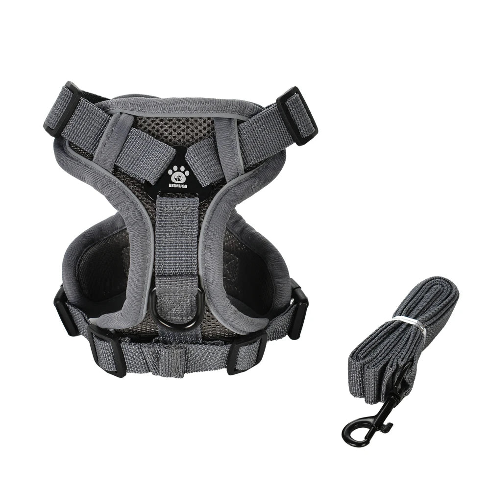 Dog Harness and Leash Set