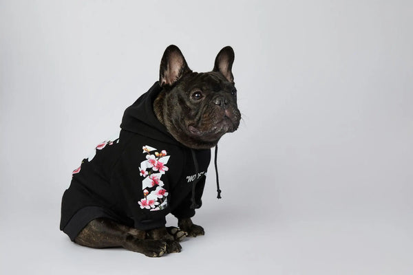 Cozybark – Premium Front-Leg Hoodie for Pets