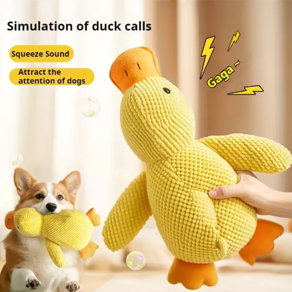 QuackPaws Adventure