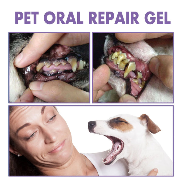 Dentapetix Gel