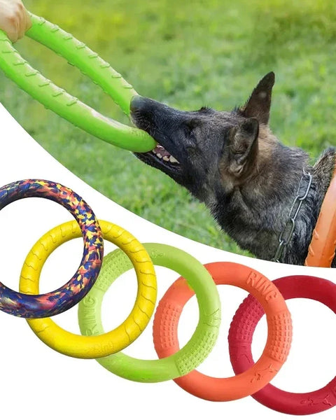 EVA floating dog ring toy for dogs that supports fetch training, physical exercise, and mental stimulation.