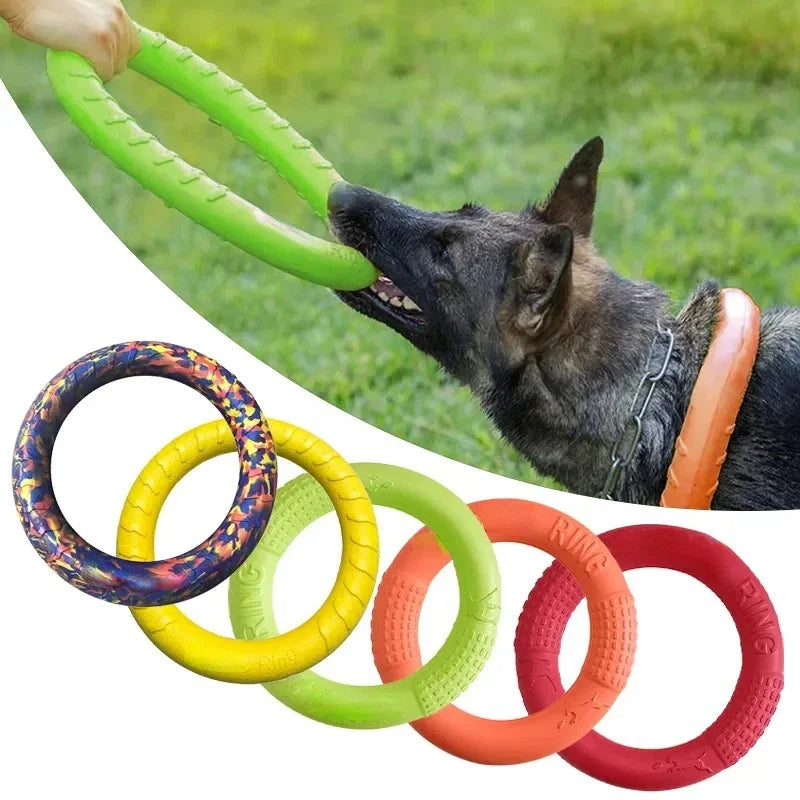 EVA floating dog ring toy for dogs that supports fetch training, physical exercise, and mental stimulation.