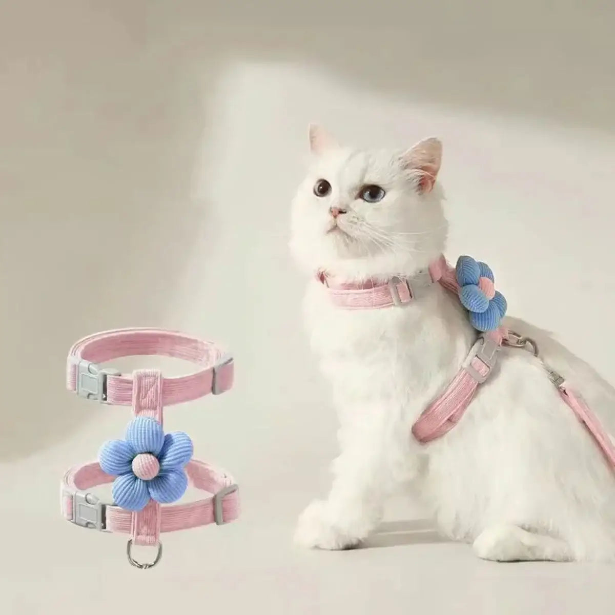 WhiskerStride