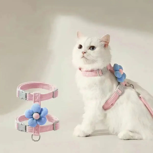 WhiskerStride