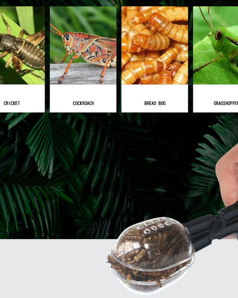 Insectraxx™ Reptile Terrarium