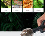 Insectraxx™ Reptile Terrarium