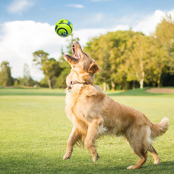 PupLaughter Ball