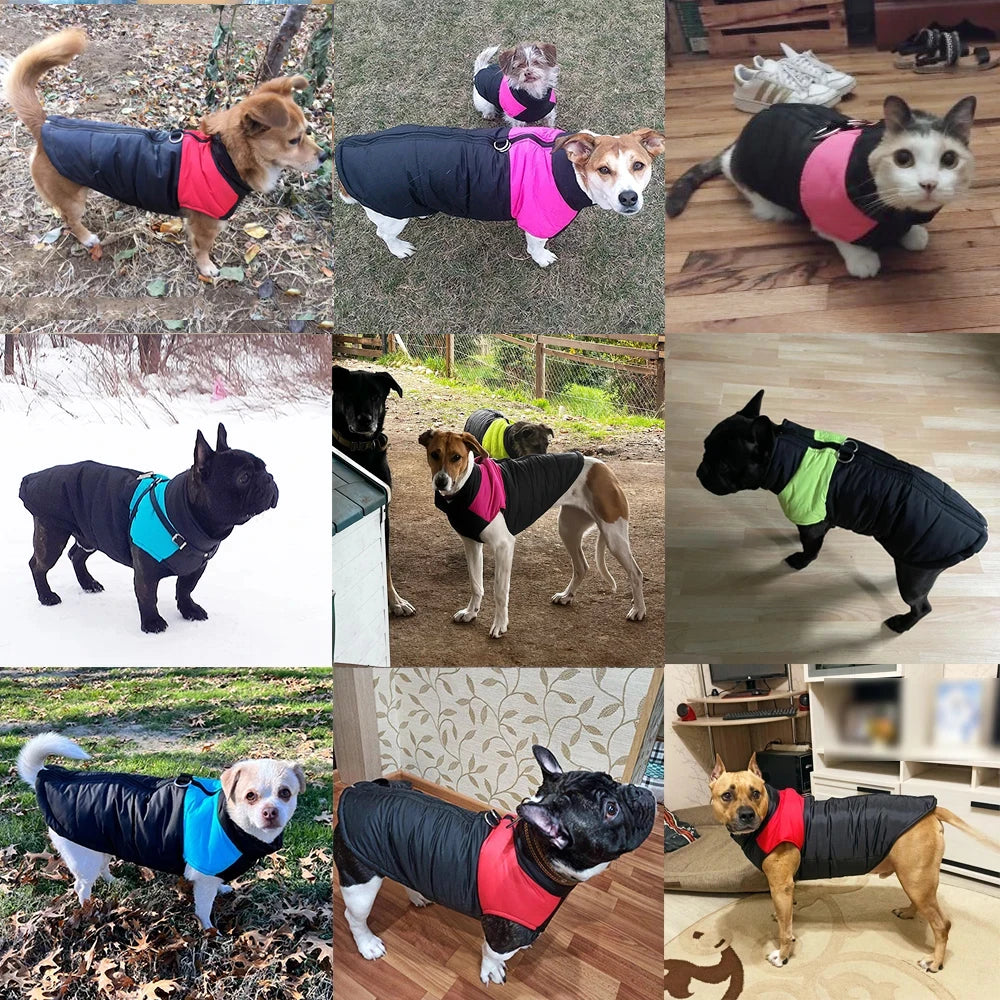 Thermova Dog Winter