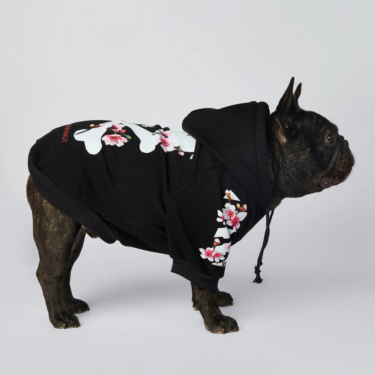 Cozybark – Premium Front-Leg Hoodie for Pets
