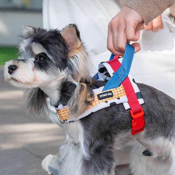 ColorFlex Dog Harness
