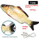  B carp