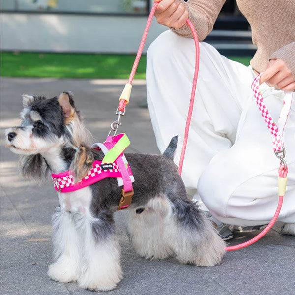 ColorFlex Dog Harness