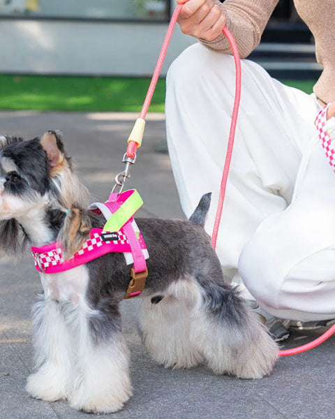 ColorFlex Dog Harness