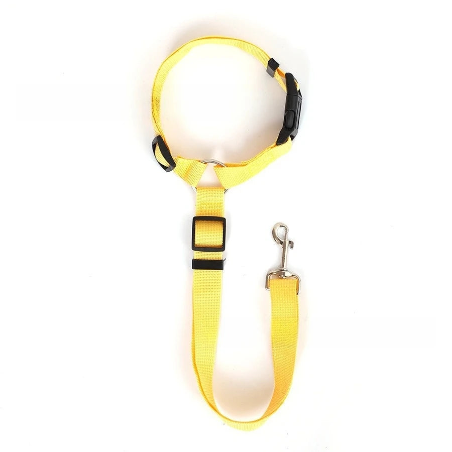 SafeRide Dog Belt