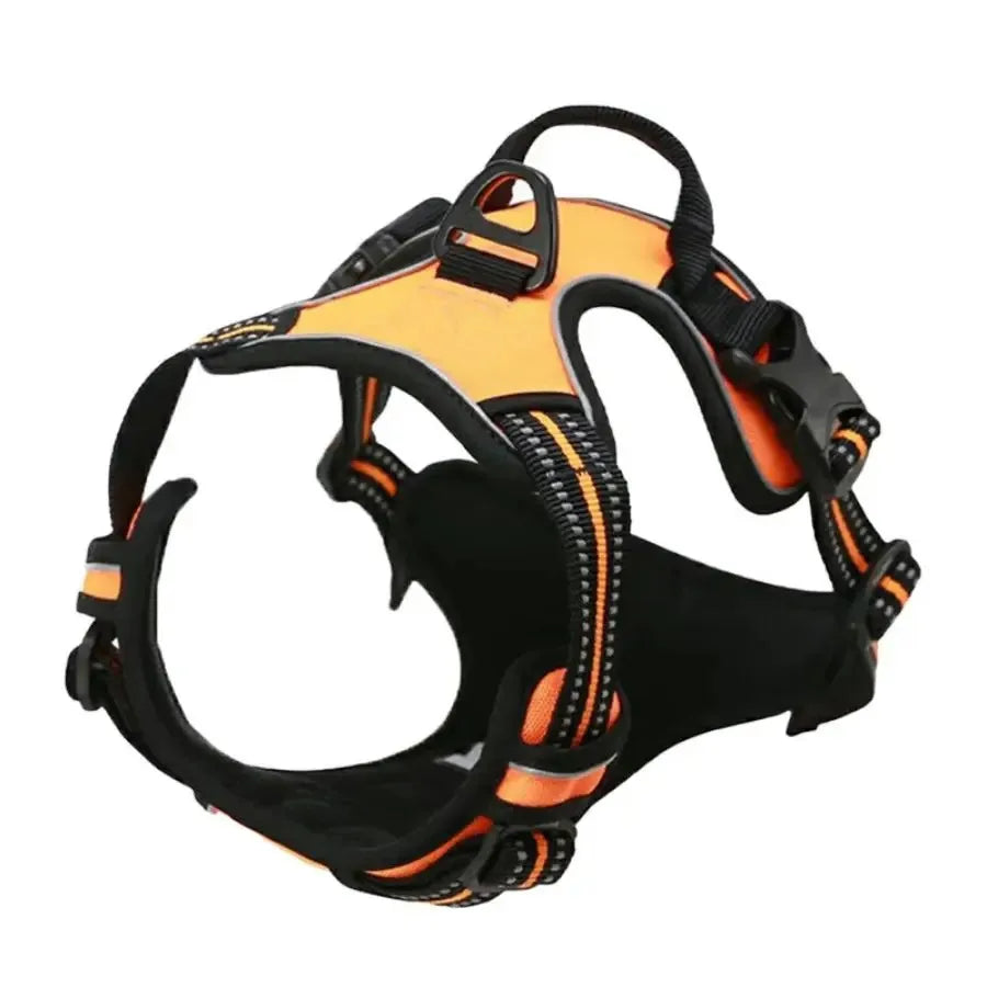 SafeTrail Harness