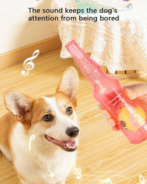 PawBottle Toy
