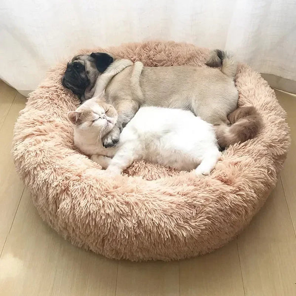 PetLuxe Comfort Bed